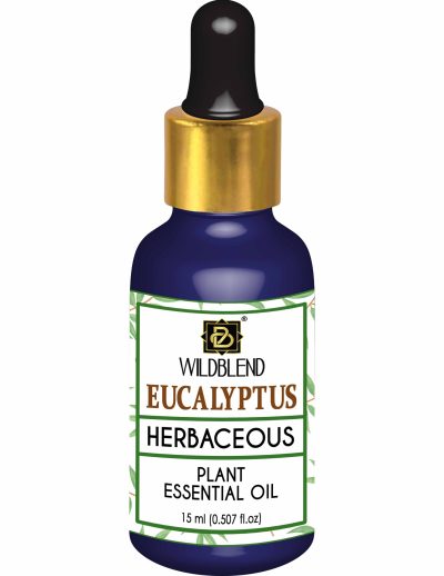 eucalyptus essential oil