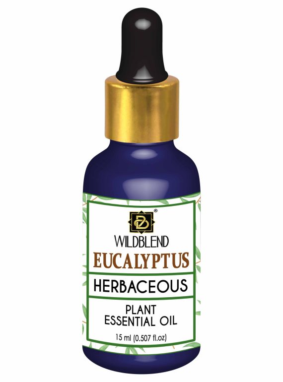 eucalyptus essential oil